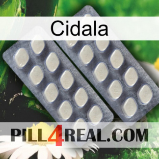 Cidala 07